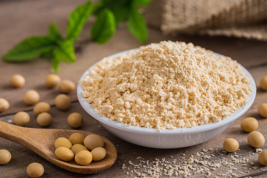 大豆粉とは？おからパウダー、きな粉との違いとは？