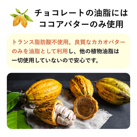 新・フスボン11種アソートセット（初回限定送料込）