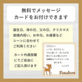 【送料込】フスボンアイス5種10個セット 糖質制限ダイエットにぴったりなセット商品 フスボン 